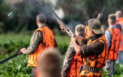 Calendrier de la saison de chasse 2025-2026 – Forêt domaniale de L’Isle Adam