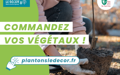 « Plantons le décor© ».